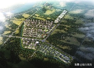 莱西水集街道领导班子,莱西水集街道整改