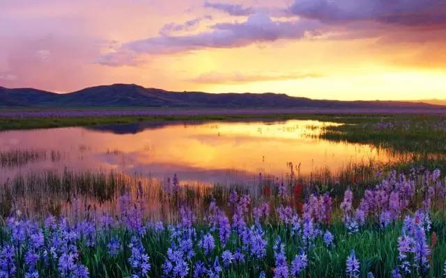 进疆自驾游详细攻略,离疆自驾最新攻略