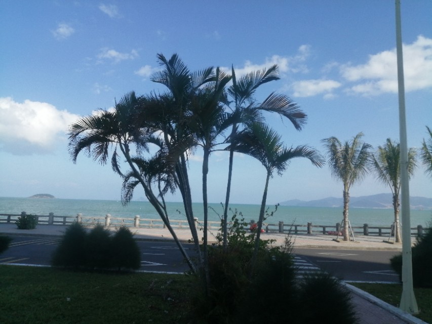 站在楼顶看芽庄全景,站在国门看越南