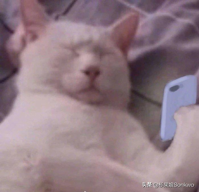 从网上标价150美元的PS5和XSX背后，我挖出了尘封的山寨主机秘密