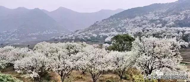 南阳春天踏青,南阳有哪些适合春游的地方