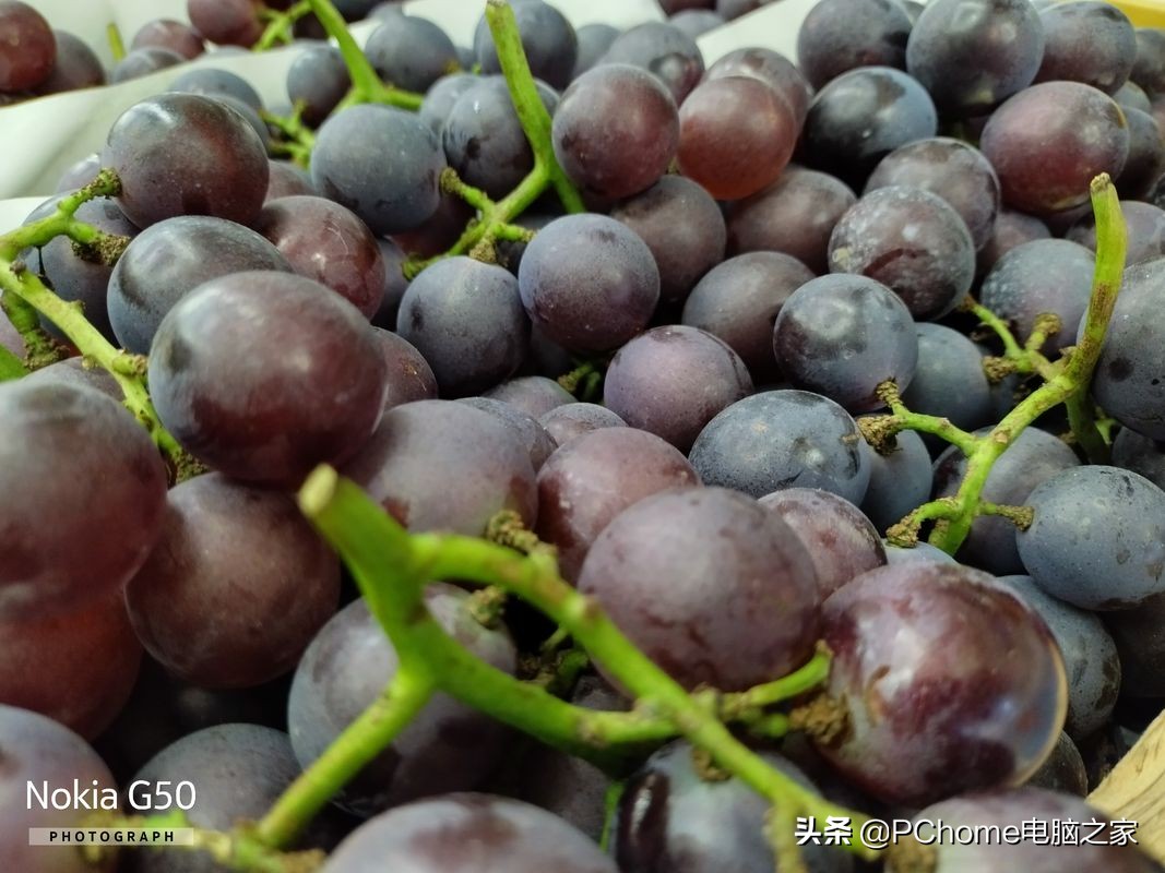 诺基亚g50评测,诺基亚g50智能5g手机