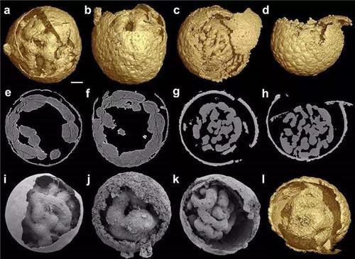 能溶解黄金的液体有哪些,科学溶解黄金