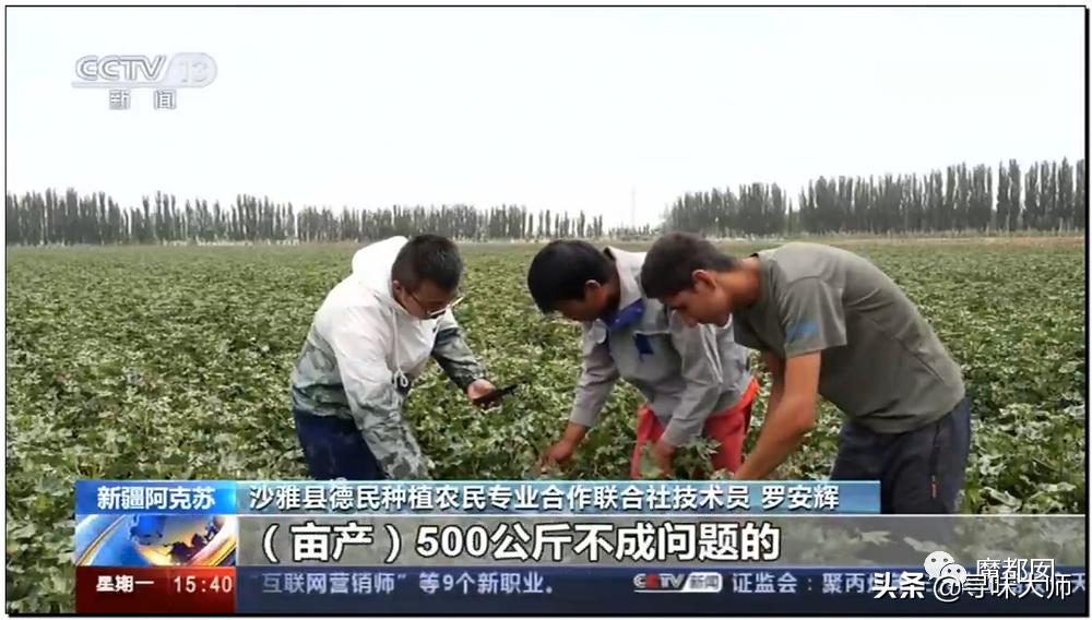 *辱侮**中国！HM、优衣库、ZARA、耐克、阿迪达斯等引公愤