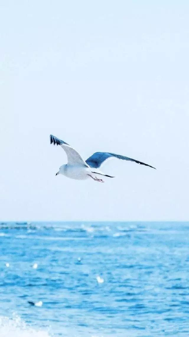 高清风景壁纸无水印全屏壁纸,风景壁纸手机壁纸