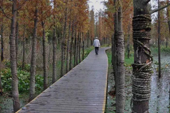 在镇江居住生活利弊分析,在南京生活中容易产生哪些错觉