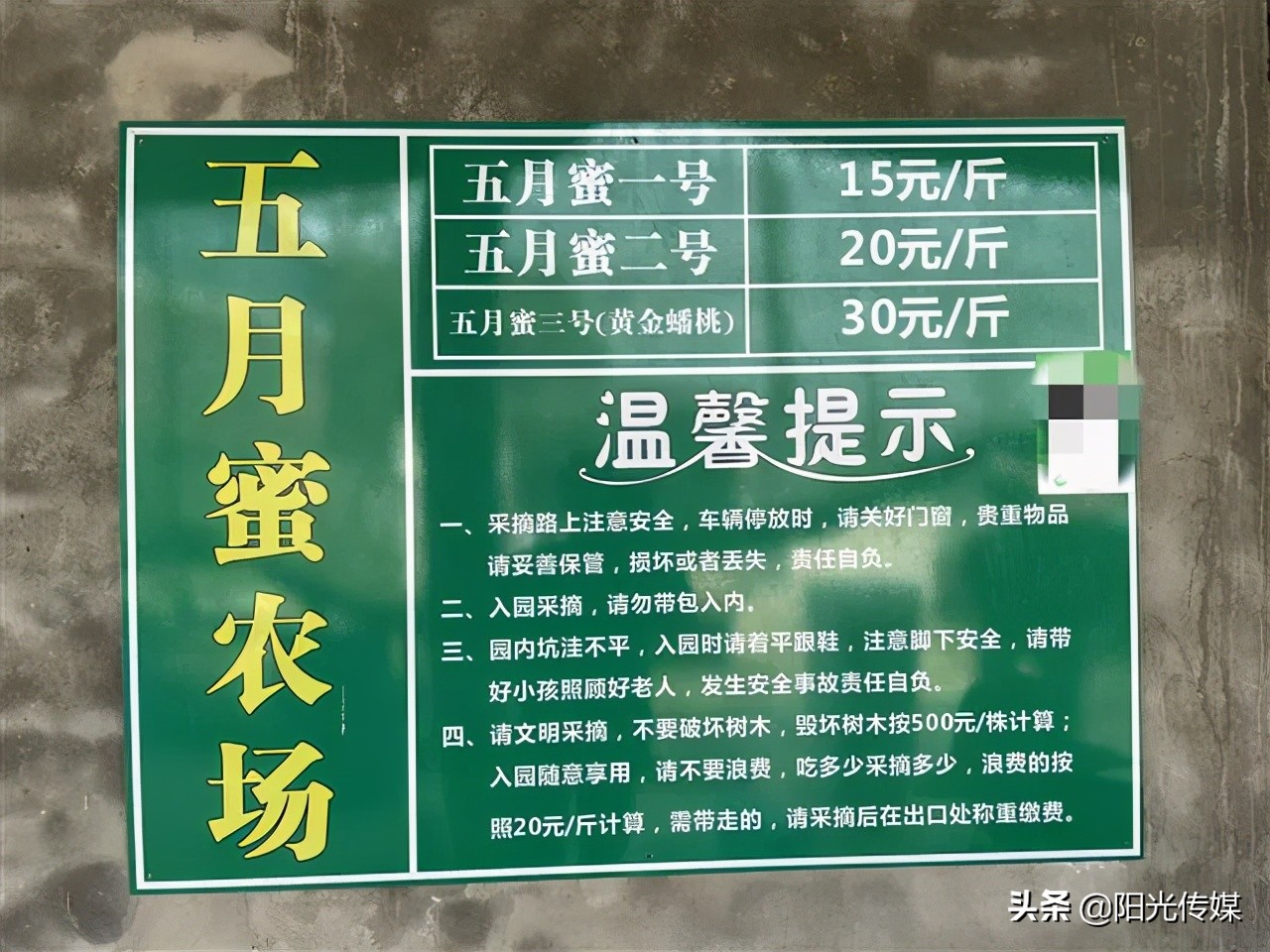 福利来啦！德阳喜欢吃桃子的小伙伴看过来