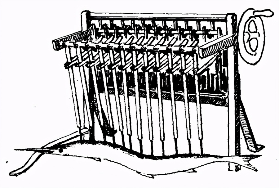 鱼为什么会游泳30字,鱼为什么会游泳