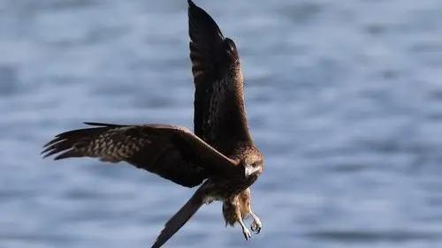 你认为江西的三大名校是哪些,江西十大名校排名高中