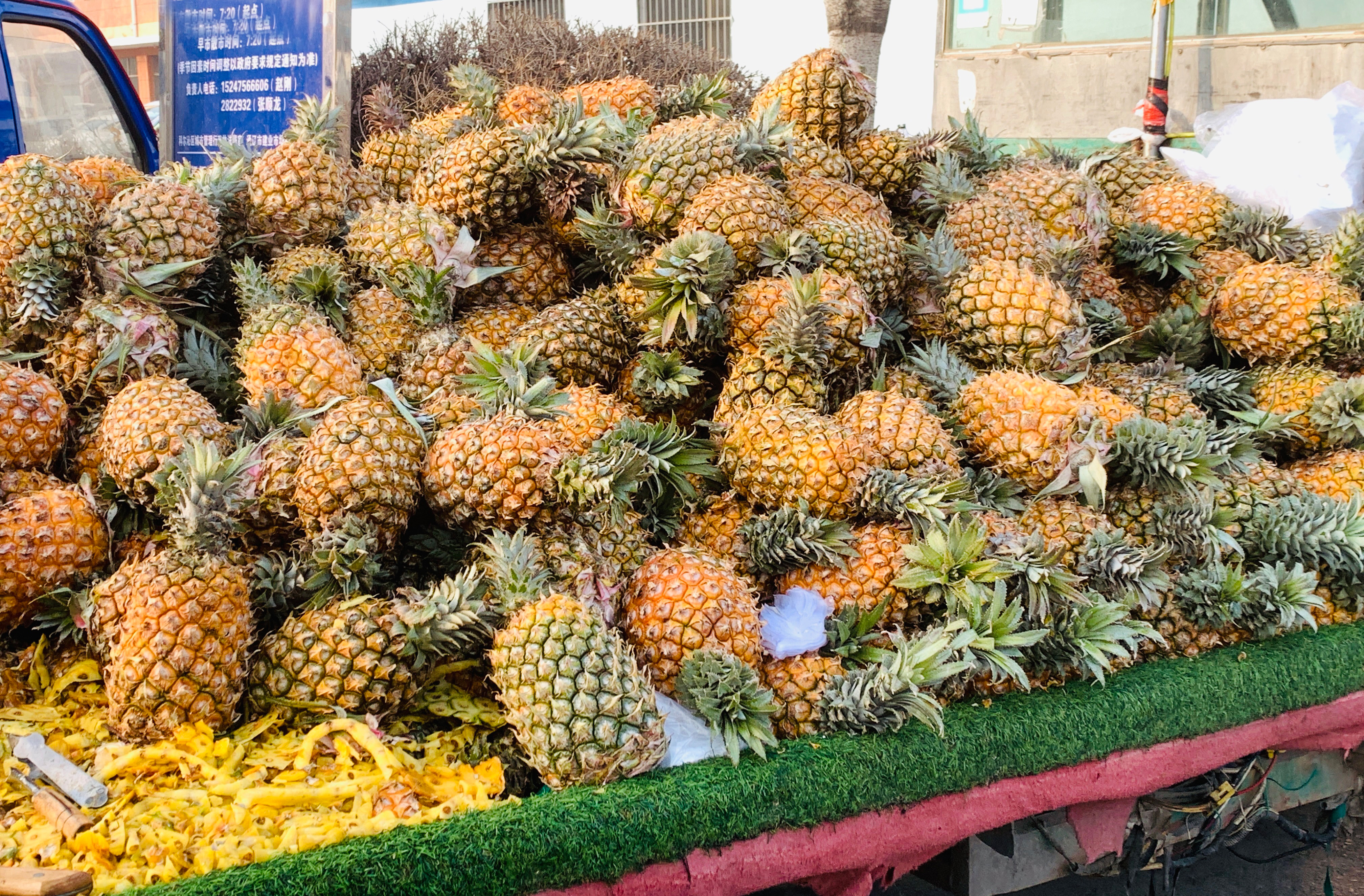 挑选菠萝什么样的又甜又好吃,怎么挑选菠萝又甜又不涩口