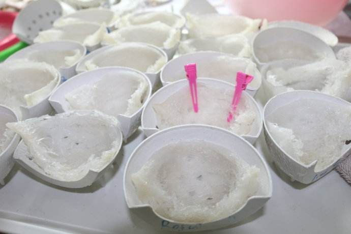 燕窝黑点怎样挑毛最快,燕窝毛怎么挑视频教程