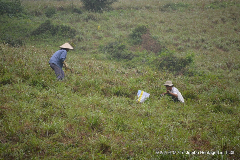 第1931回：玉中之王翡翠喋血，缅甸玉矿不可再生