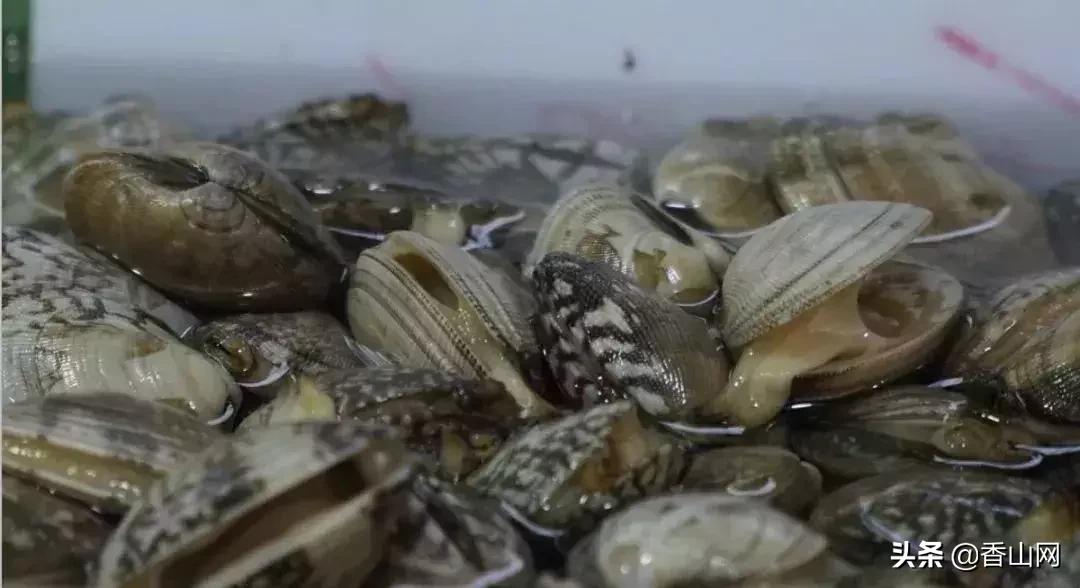 珠海有哪些海鲜街,珠海南屏海鲜街