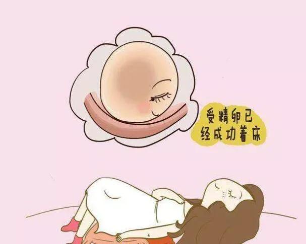 试管婴儿闯几关？才算闯关成功