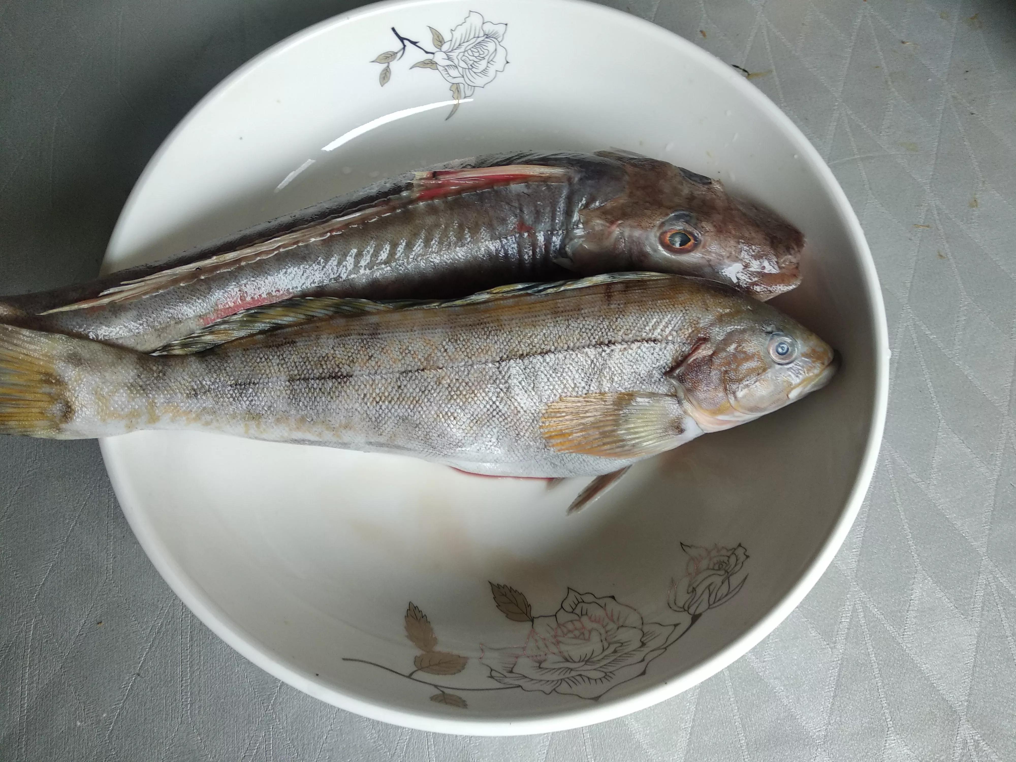 开海了吃什么美食,海边人常吃的40种海鱼