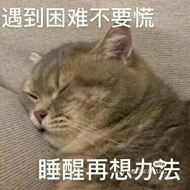 「对家•娘子」两脚兽观察实录