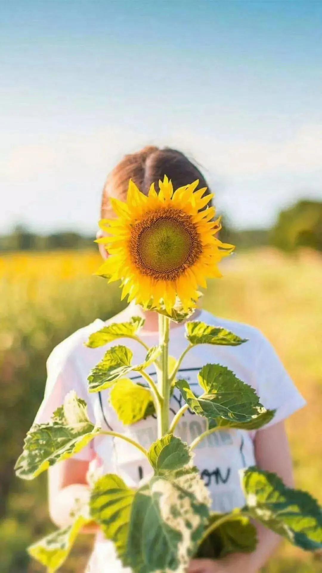采几许光阴，书一纸年华