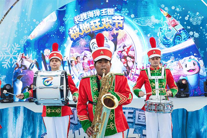 珠海长隆烟花灯光秀视频,今天珠海长隆烟花秀时间