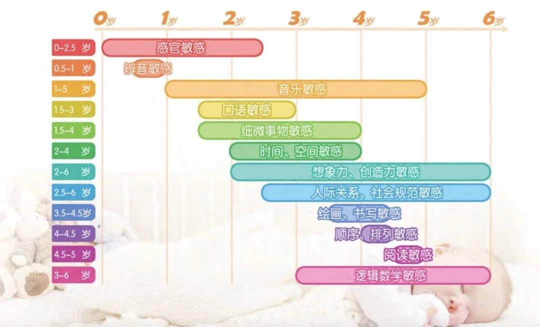 玩物志上的产品怎么样,玩物志