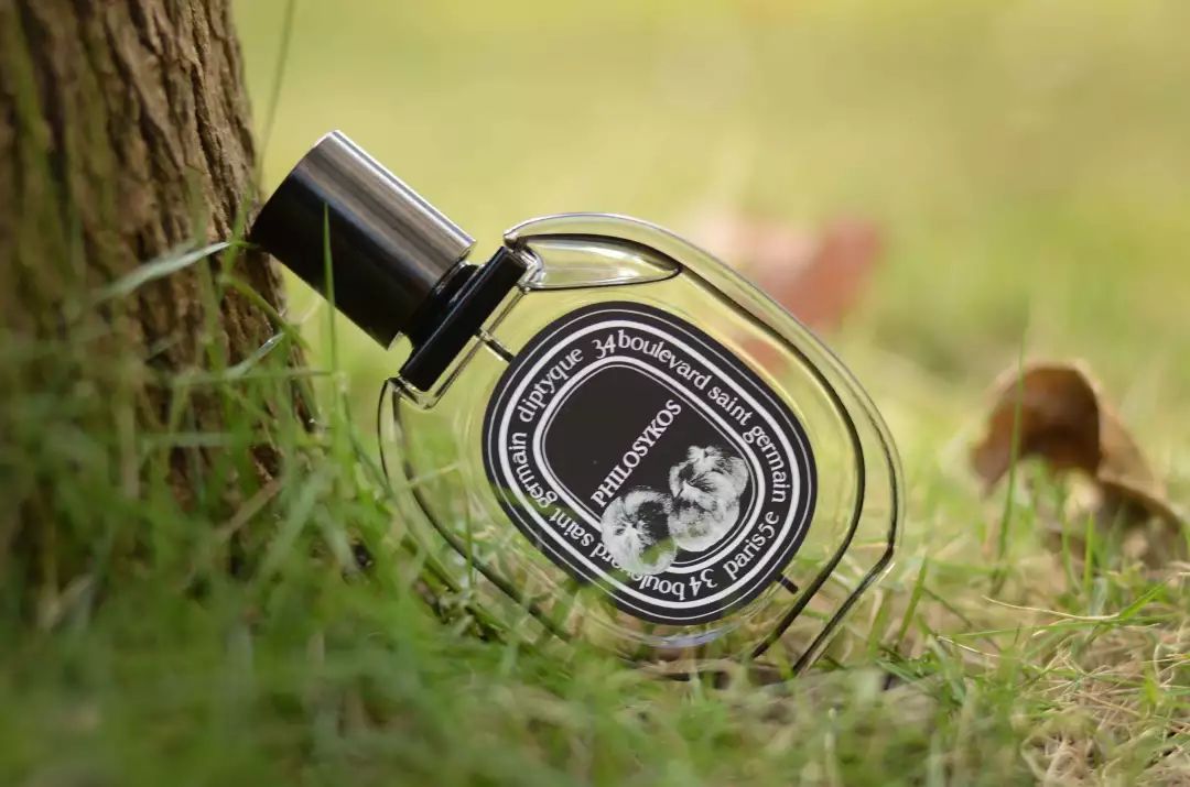 深秋入冬温暖又清冷的香水 (初秋清冷的香水)