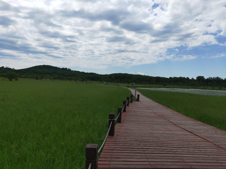 美丽的高岭塞罕坝,美丽的高岭朗诵