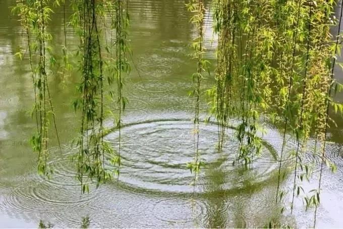 我爱摄影随笔,我爱摄影第四期