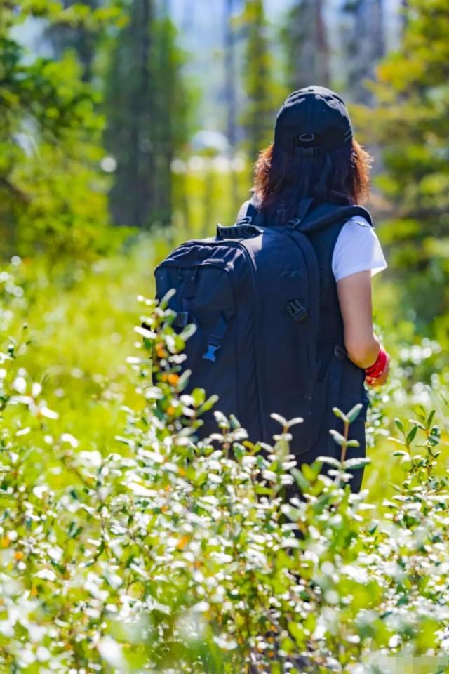 章泽天清华捐款,章泽天捐款拿到了清华文凭了吗