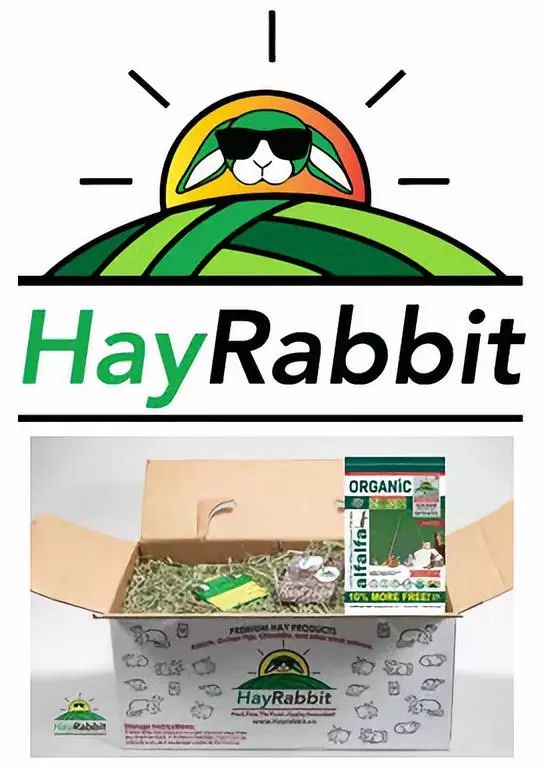 淘好货进阶手册,淘货攻略大全最新