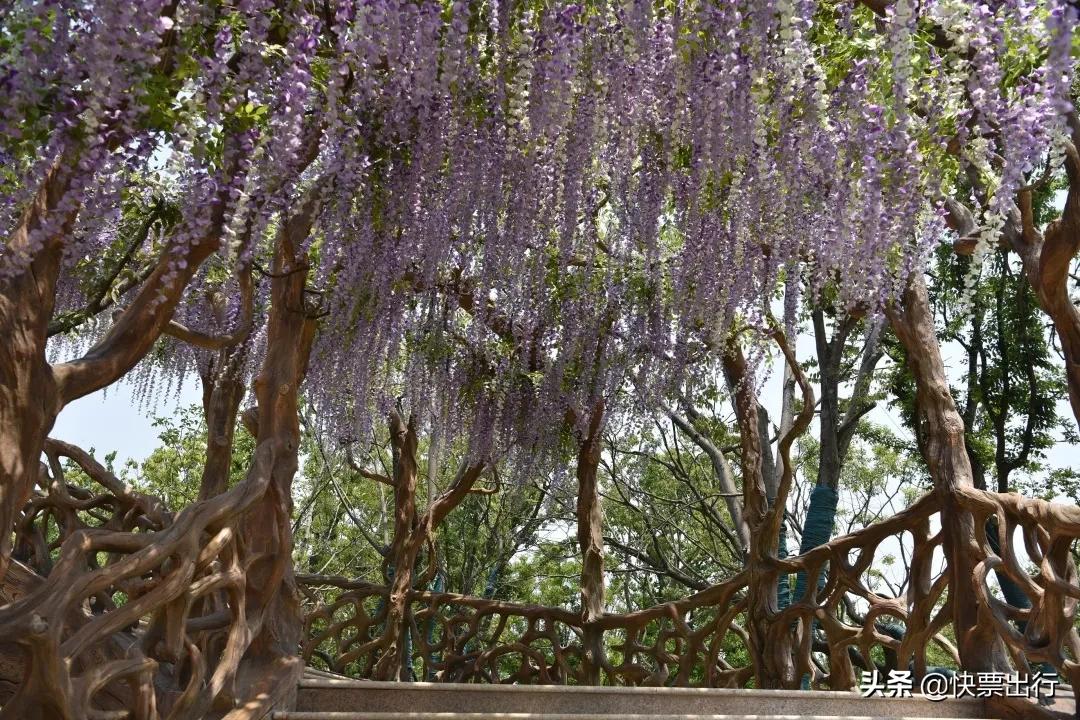 苏州森林世界北纬31度玩的什么,苏州乐园森林世界北纬31度