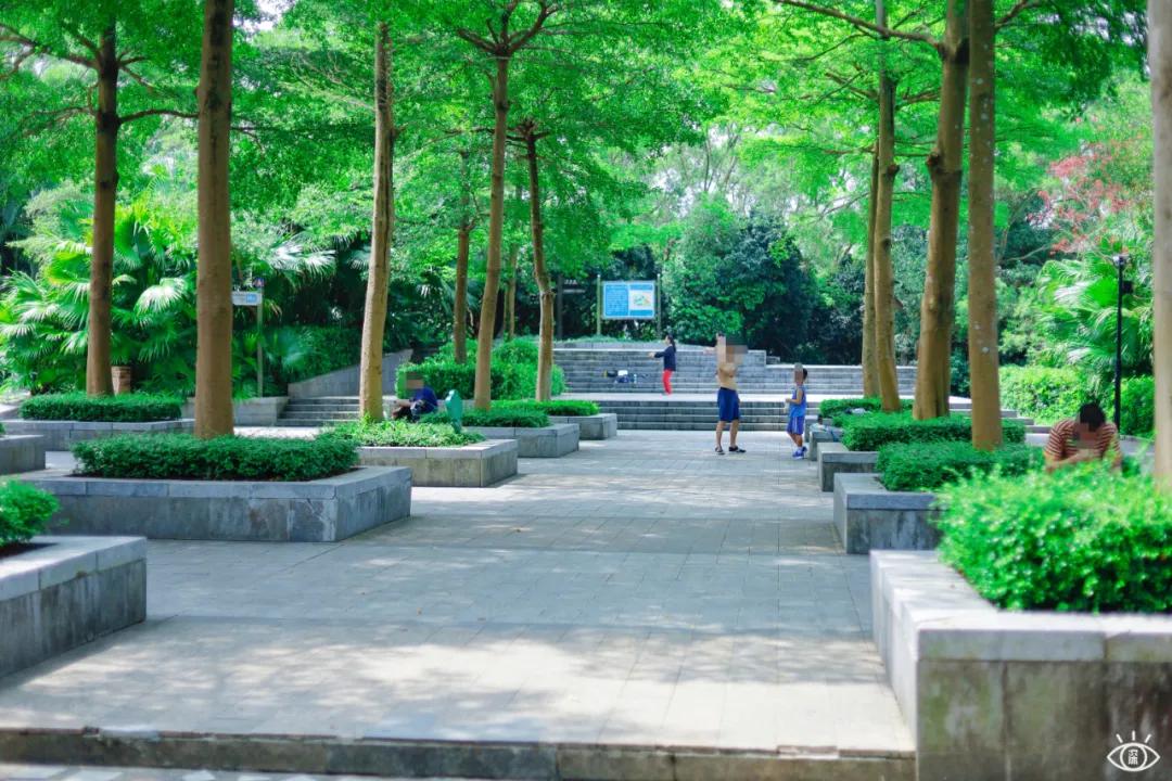 深圳宝藏公园风景图片,深圳宝藏自然游乐区