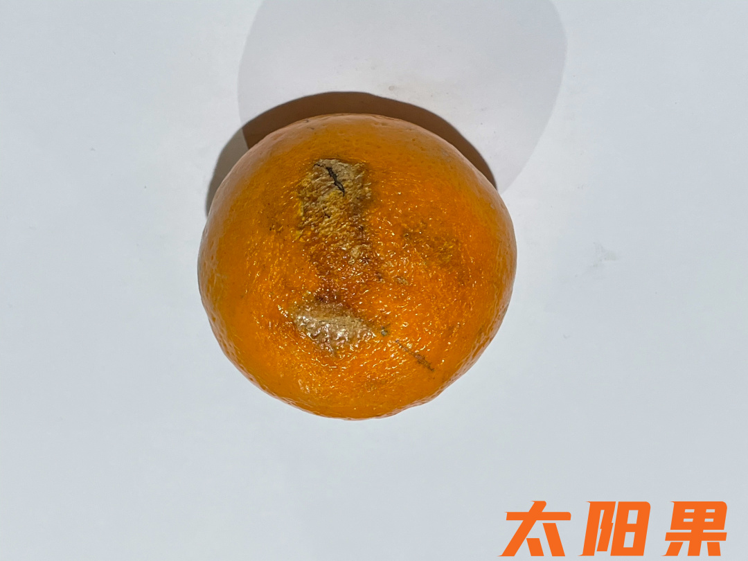 橙子干水了,橙子里面干水是什么原因