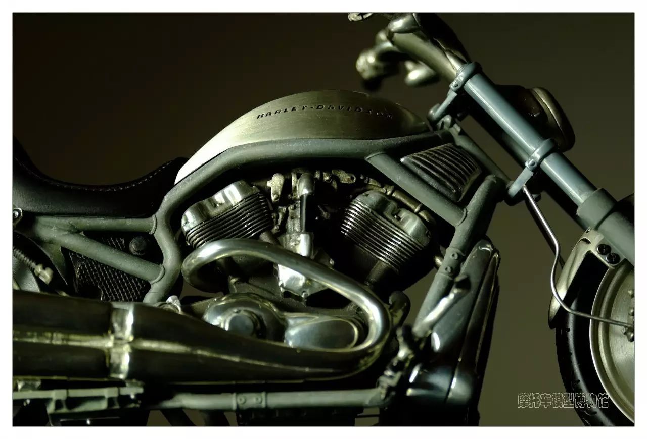 一枚小生,一枚小鲜肉视频