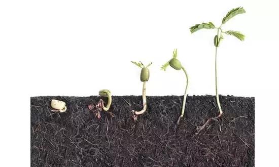 孕期出血是流产？孕妈妈们先别慌！