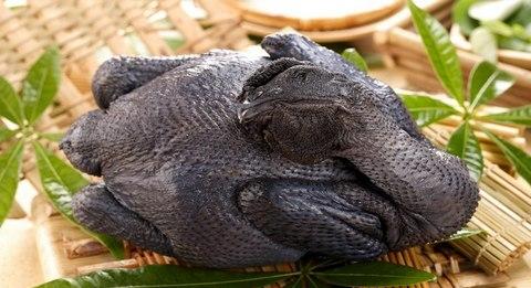 乌鸡中的“*博兰**基尼鸡”全身上下都是黑的，价格高达1.8万元！