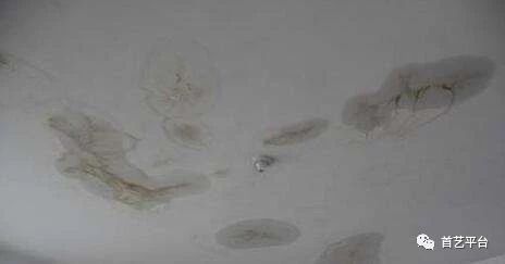 看完这篇,不再为屋顶漏雨而烦恼