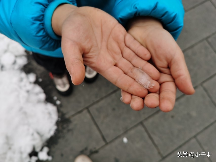 回家乡真实事件,近期内蒙地区的家庭惨案