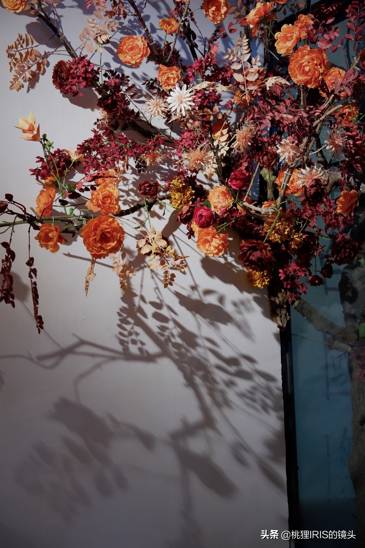 杭州餐厅探店推荐,杭州花园餐厅团购