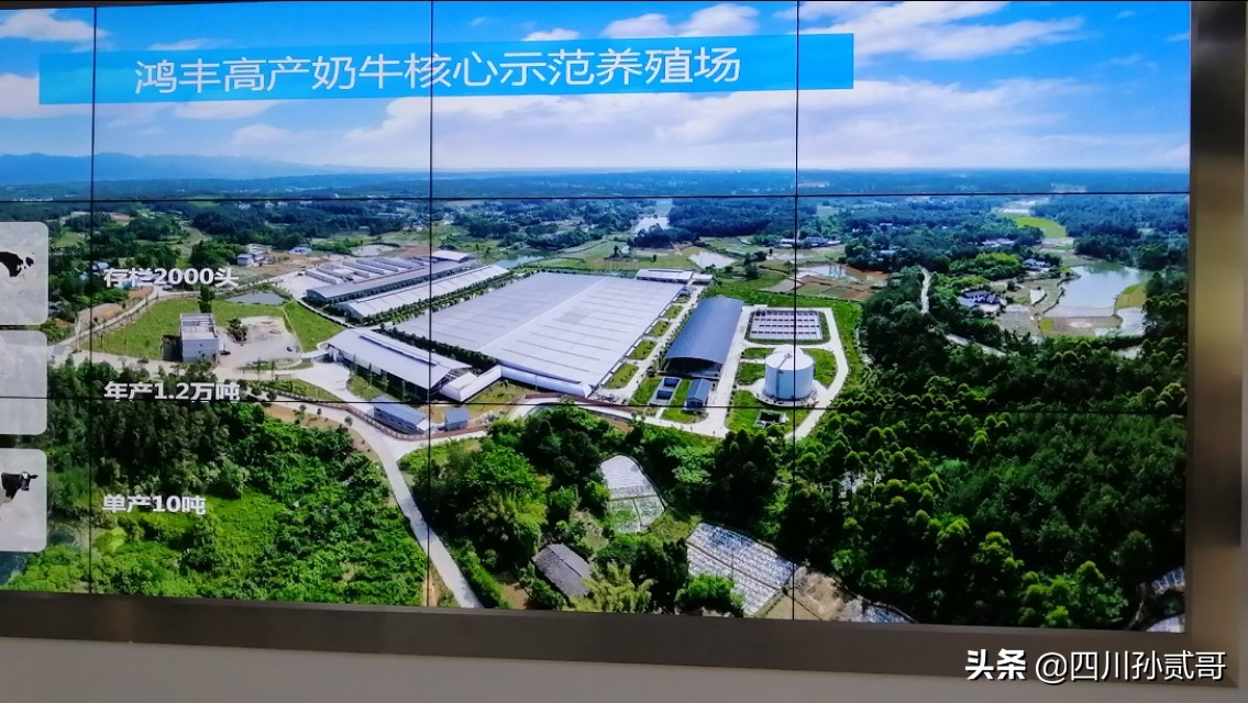 雪宝奶牛场,参观雪兰牛奶工厂心得体会