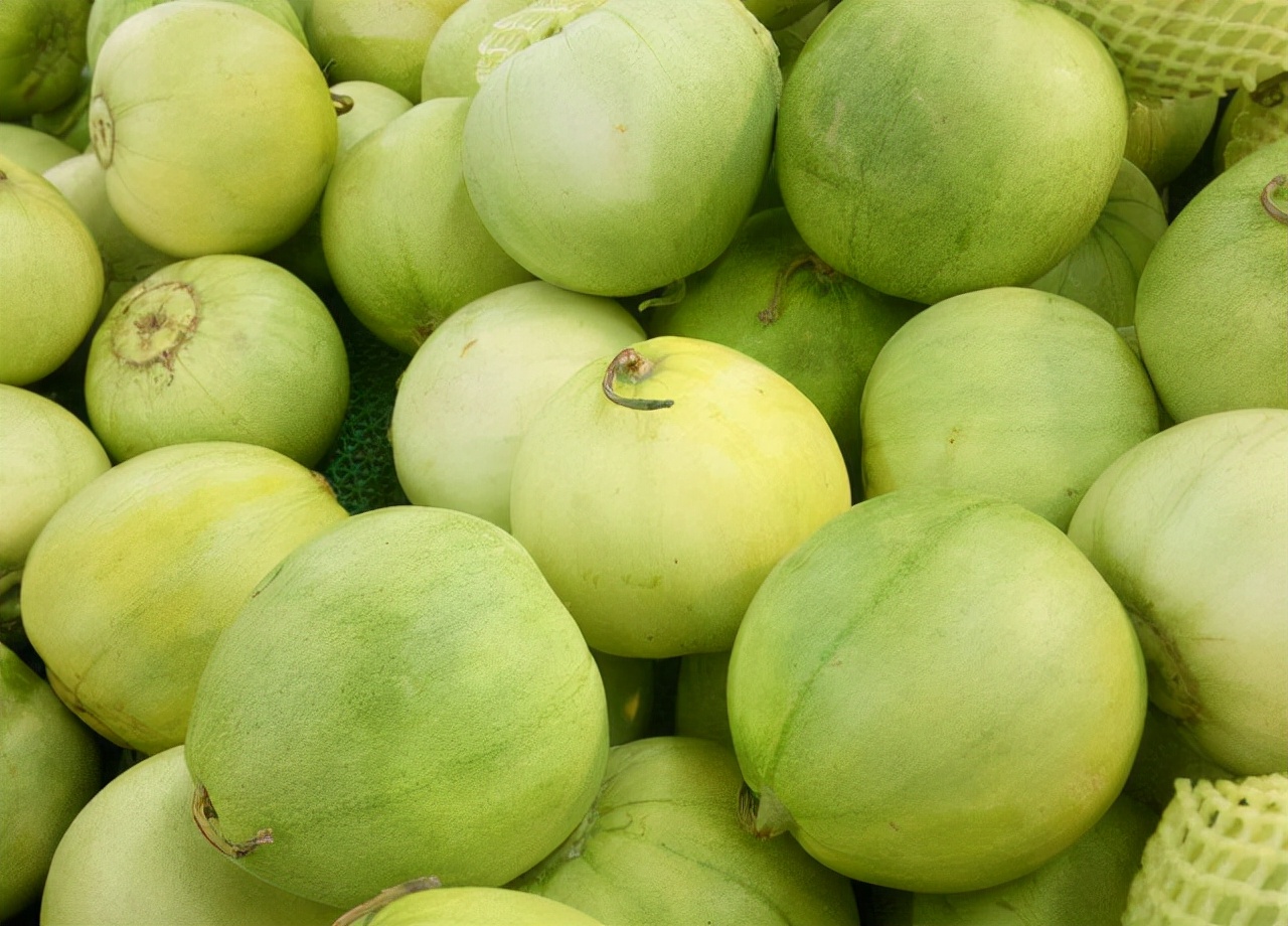 吉林地理标志农产品,吉林省23个国家地理标志农产品