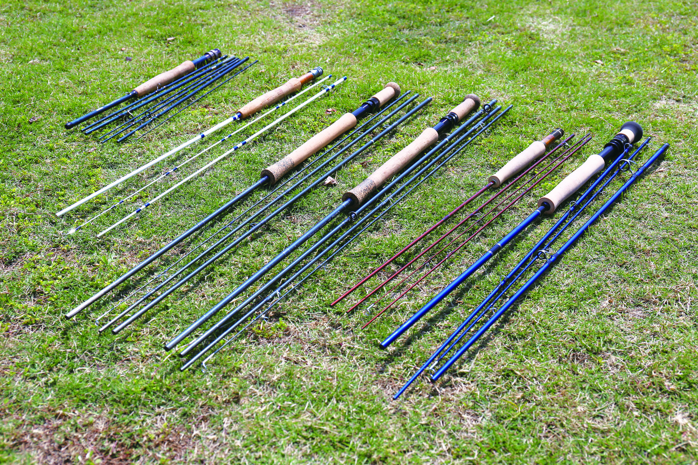 飞钓必备饵,入门飞钓装备推荐