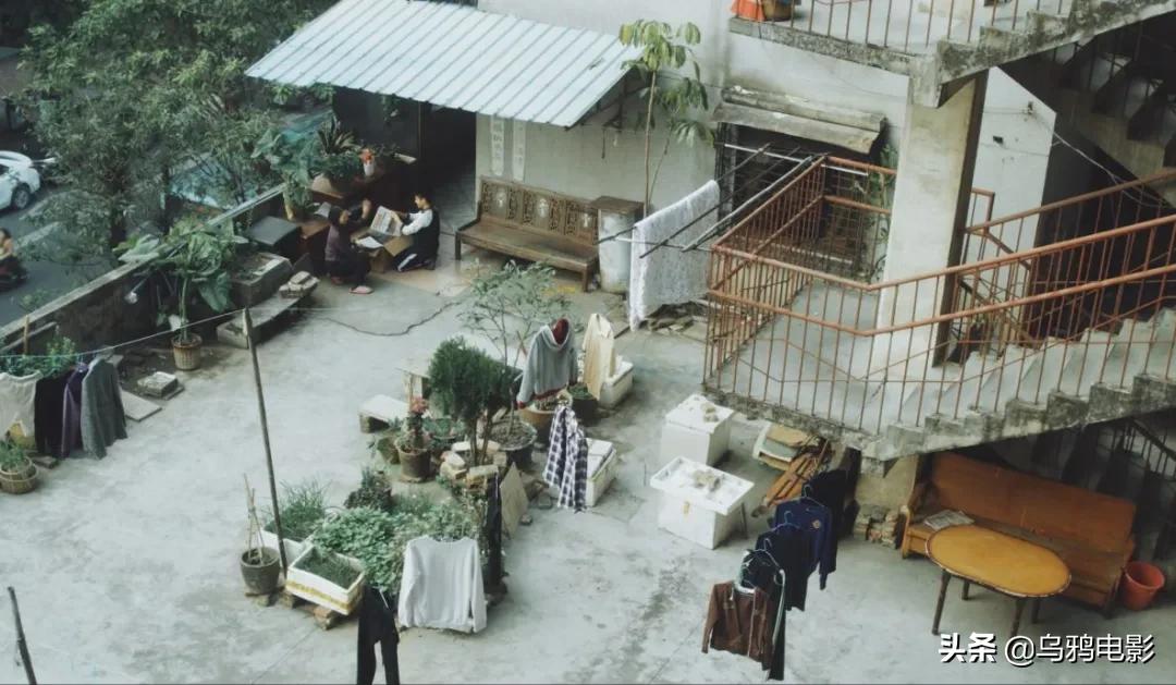 横扫电影节奖项,横扫国际影展