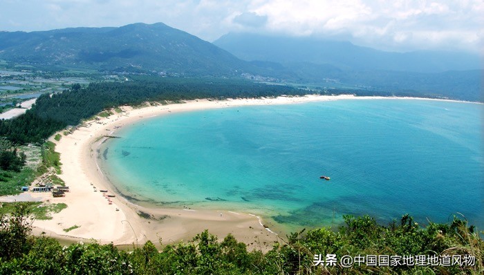 网友如何评价深圳这座城市,怎么夸赞深圳这个城市很美丽