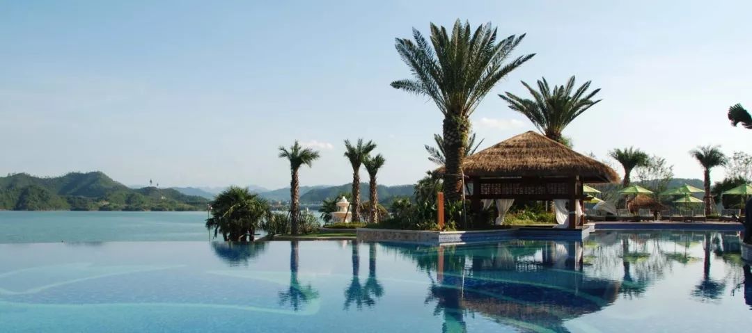 棕榈科植物的景观用途,观赏棕榈植物与景观