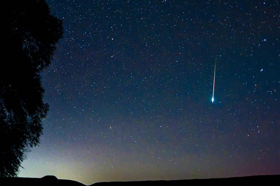 假如人类从地球上消失100年,如果人类突然消失地球会发生什么