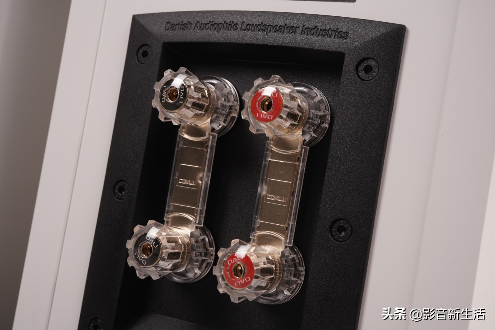 达尼opticon6音箱,达尼opticon2书架音箱