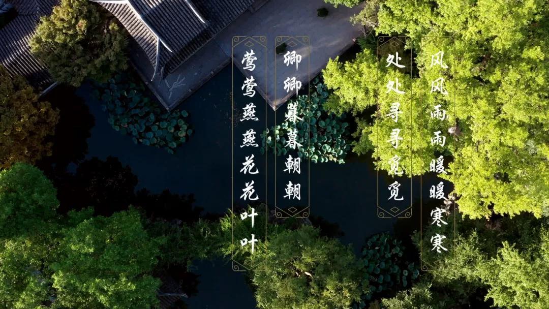 楹联里的中国纪录片,楹联中的中国宣传片