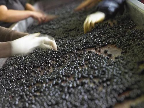 自己酿造葡萄酒的做法,探秘德国葡萄酒庄