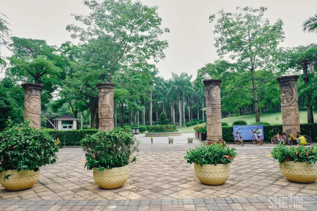 蛇口，传统与现代的并存