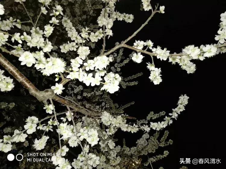 李剑诗,利剑古诗词