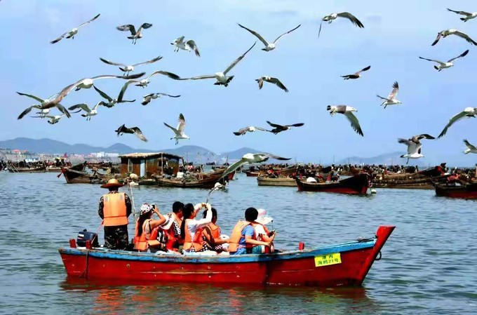 去大连只看海的旅游攻略,大连玩海全攻略